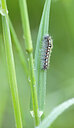 BUITEN BEELD Foto: 452335