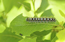 BUITEN BEELD Foto: 452336