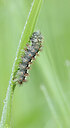 BUITEN BEELD Foto: 452337