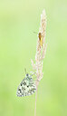 BUITEN BEELD Foto: 452339