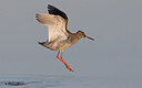 BUITEN BEELD Foto: 452363