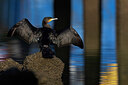 BUITEN BEELD Foto: 452401