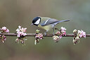 BUITEN BEELD Foto: 452409