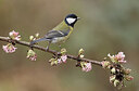 BUITEN BEELD Foto: 452413