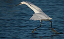 BUITEN BEELD Foto: 452418