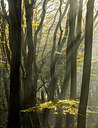 BUITEN BEELD Foto: 452433