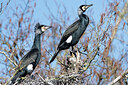 BUITEN BEELD Foto: 452436