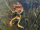 BUITEN BEELD Foto: 452447