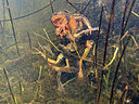 BUITEN BEELD Foto: 452448