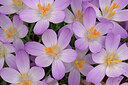 BUITEN BEELD Foto: 452462