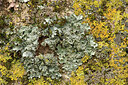BUITEN BEELD Foto: 452463