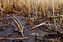 BUITEN BEELD Foto: 452555