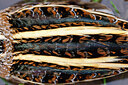 BUITEN BEELD Foto: 452556