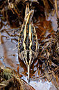 BUITEN BEELD Foto: 452561