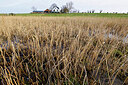 BUITEN BEELD Foto: 452566