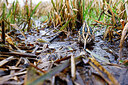BUITEN BEELD Foto: 452567