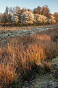 BUITEN BEELD Foto: 452590