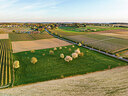 BUITEN BEELD Foto: 452617