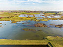 BUITEN BEELD Foto: 452618