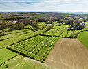 BUITEN BEELD Foto: 452619
