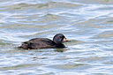 BUITEN BEELD Foto: 453351