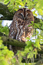 BUITEN BEELD Foto: 453635