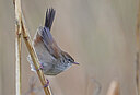 BUITEN BEELD Foto: 453639