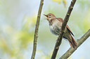 BUITEN BEELD Foto: 453656
