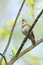 BUITEN BEELD Foto: 453657