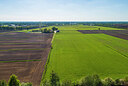 BUITEN BEELD Foto: 453670