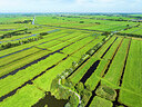 BUITEN BEELD Foto: 453673