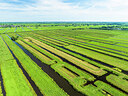 BUITEN BEELD Foto: 453674
