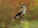 BUITEN BEELD Foto: 45009