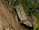 BUITEN BEELD Foto: 45013