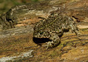 BUITEN BEELD Foto: 45022