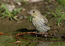 BUITEN BEELD Foto: 45028