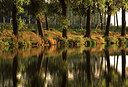 BUITEN BEELD Foto: 45089