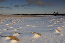 BUITEN BEELD Foto: 45172
