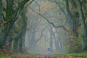 BUITEN BEELD Foto: 45241