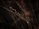 BUITEN BEELD Foto: 45246