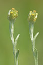 BUITEN BEELD Foto: 45265
