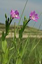 BUITEN BEELD Foto: 45298