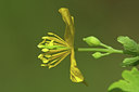BUITEN BEELD Foto: 45309