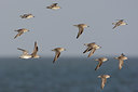 BUITEN BEELD Foto: 45391