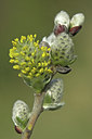 BUITEN BEELD Foto: 45425