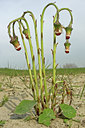 BUITEN BEELD Foto: 45435
