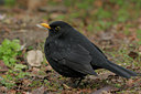 BUITEN BEELD Foto: 45458