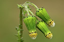 BUITEN BEELD Foto: 45487