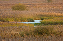 BUITEN BEELD Foto: 45530