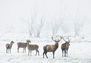 BUITEN BEELD Foto: 45546